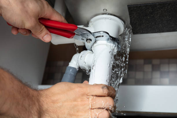 Best Professional water damage repair  in Duluth, WA