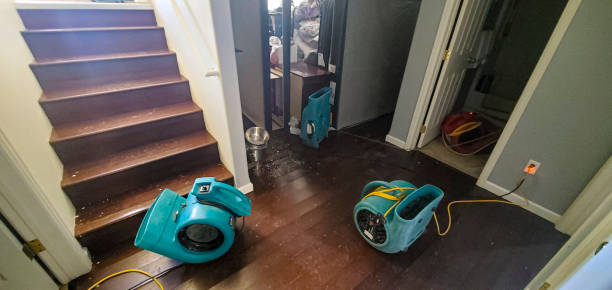 Best Carpet water damage restoration  in Duluth, WA