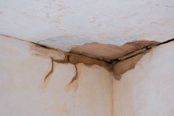 Best Water damage restoration insurance claims  in Duluth, WA
