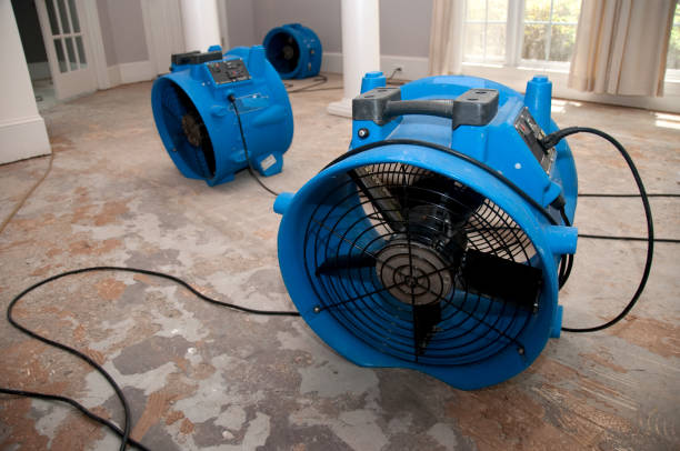 Best Water damage restoration near me  in Duluth, WA