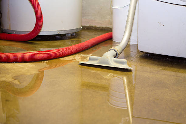 Best Water damage contractors near me  in Duluth, WA