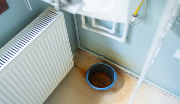 Best Residential water damage restoration  in Duluth, WA