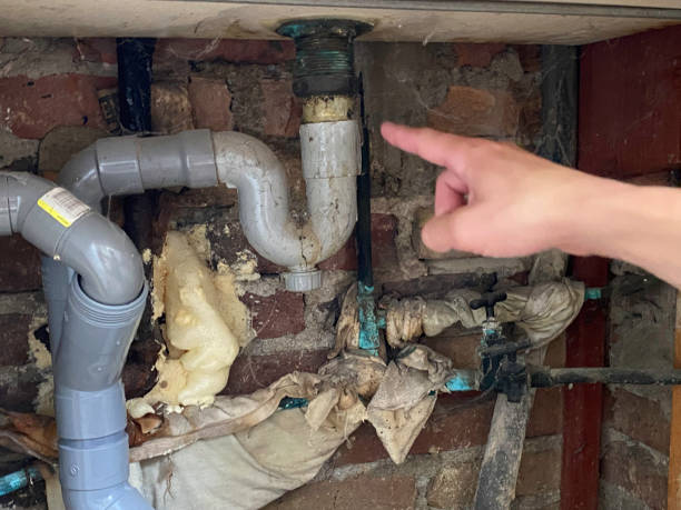 Best Basement water damage restoration  in Duluth, WA