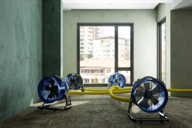 Best Local water damage restoration  in Duluth, WA